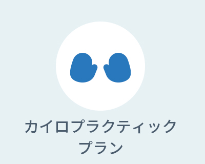 カイロプラクティック専門科プラン