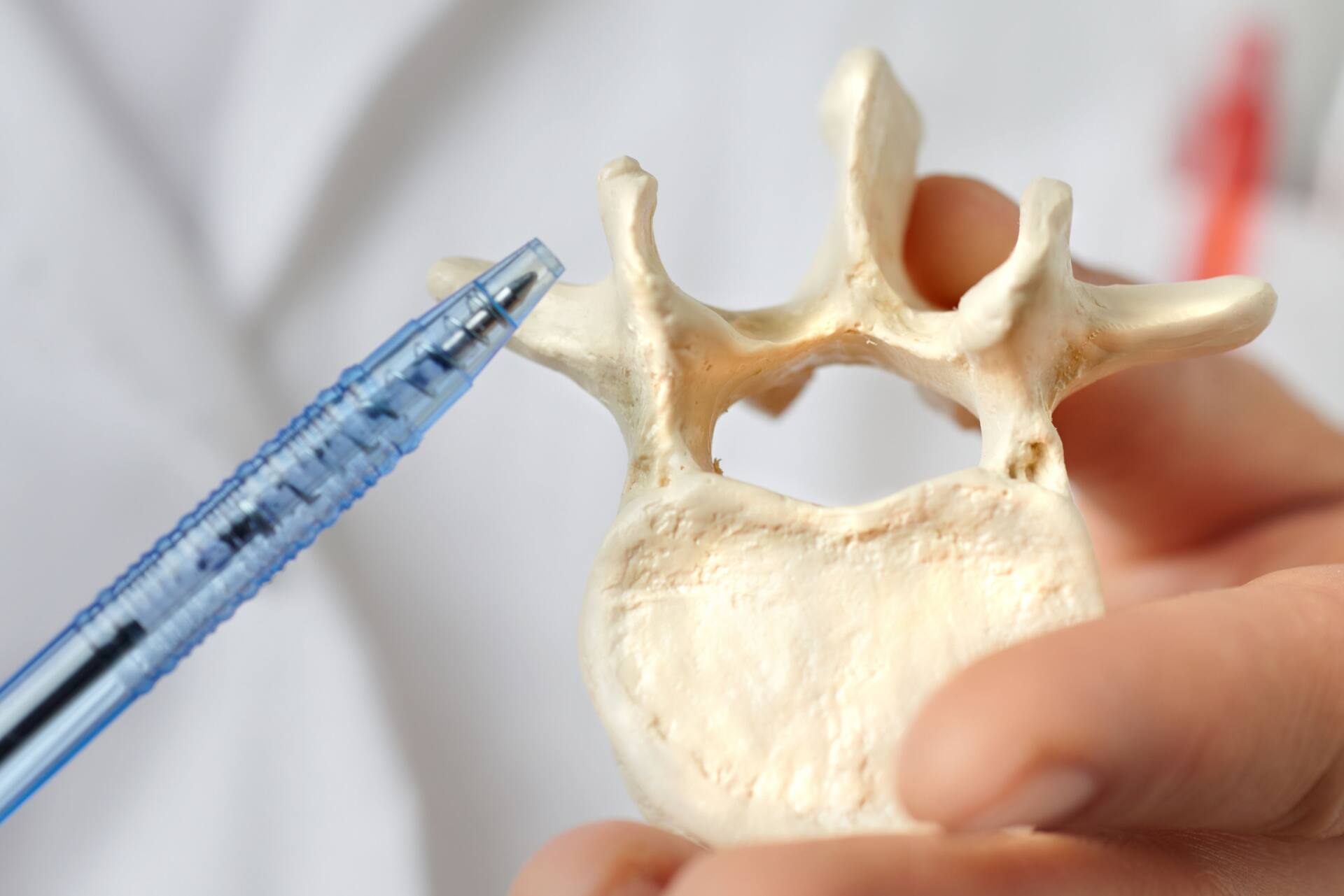 頚椎１番について