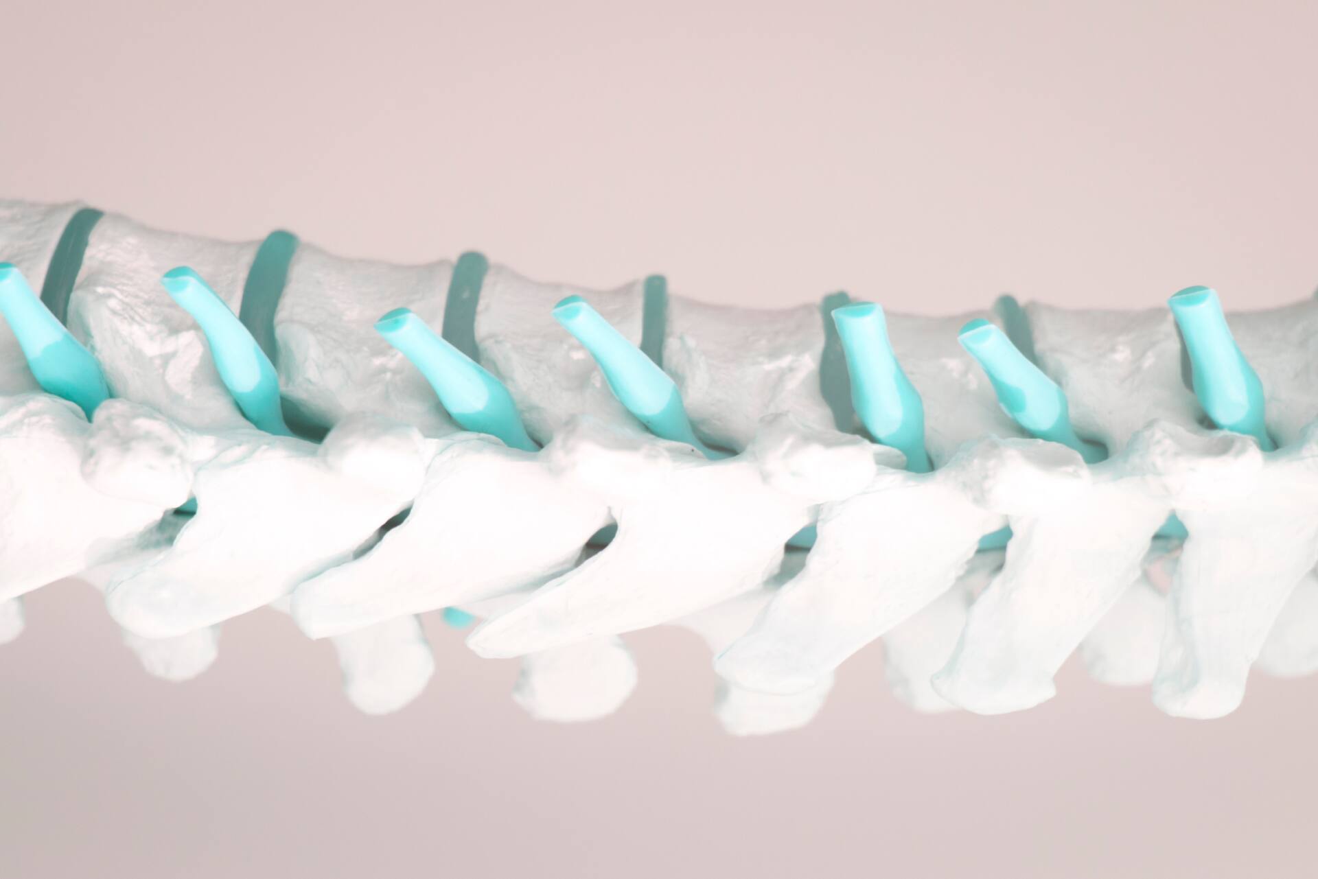 カイロプラクティックとは、わかりやすく