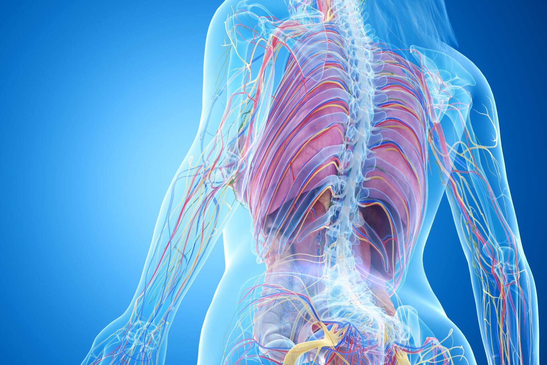 背中の上が痛い