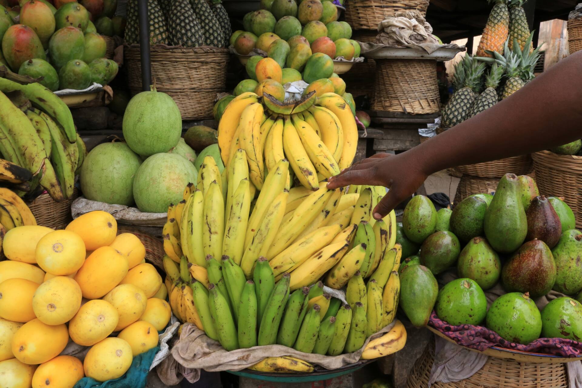 カイロプラクティックとは、わかりやすく