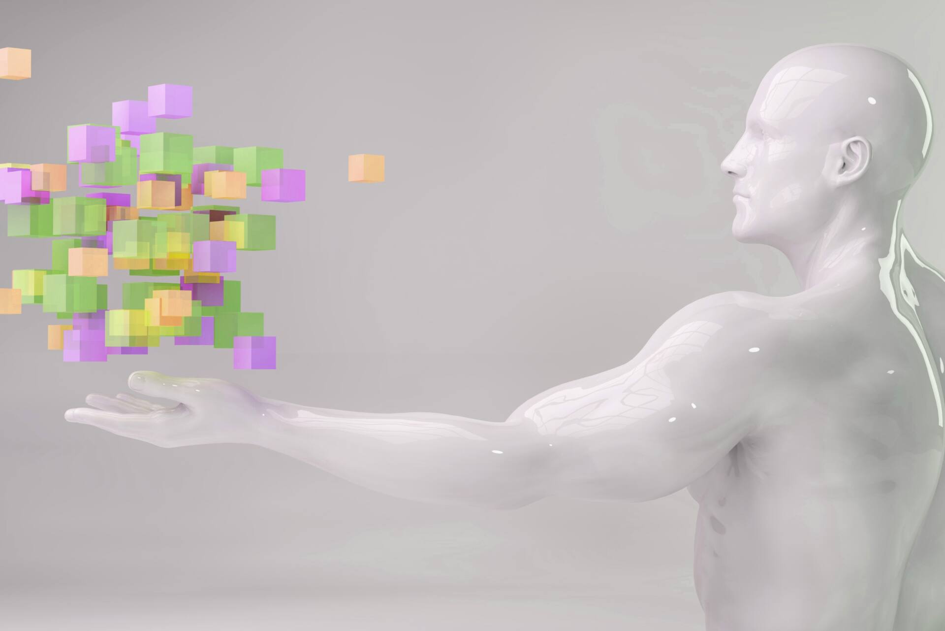 カイロ プラクティック 自律 神経