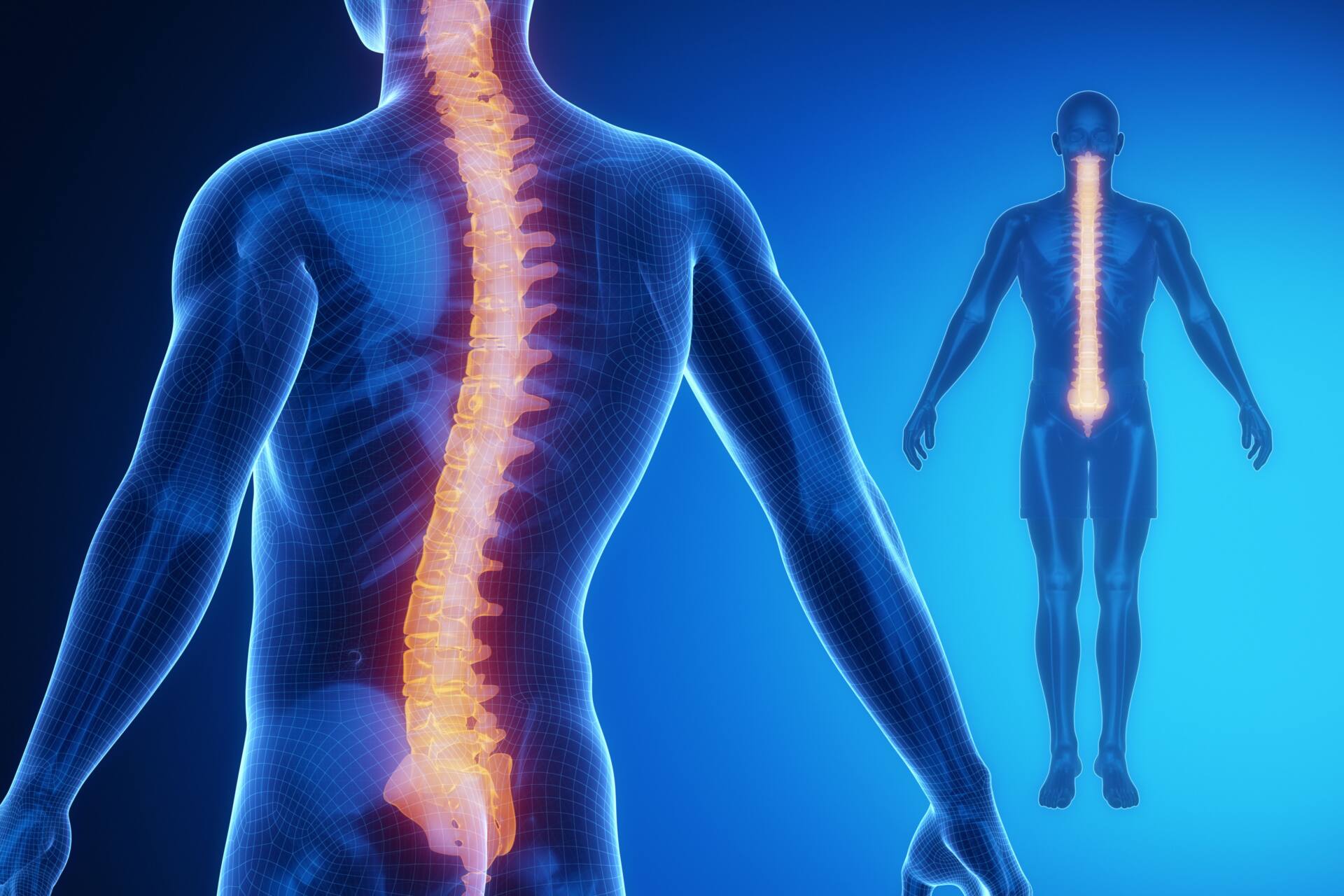 背骨 コンディション