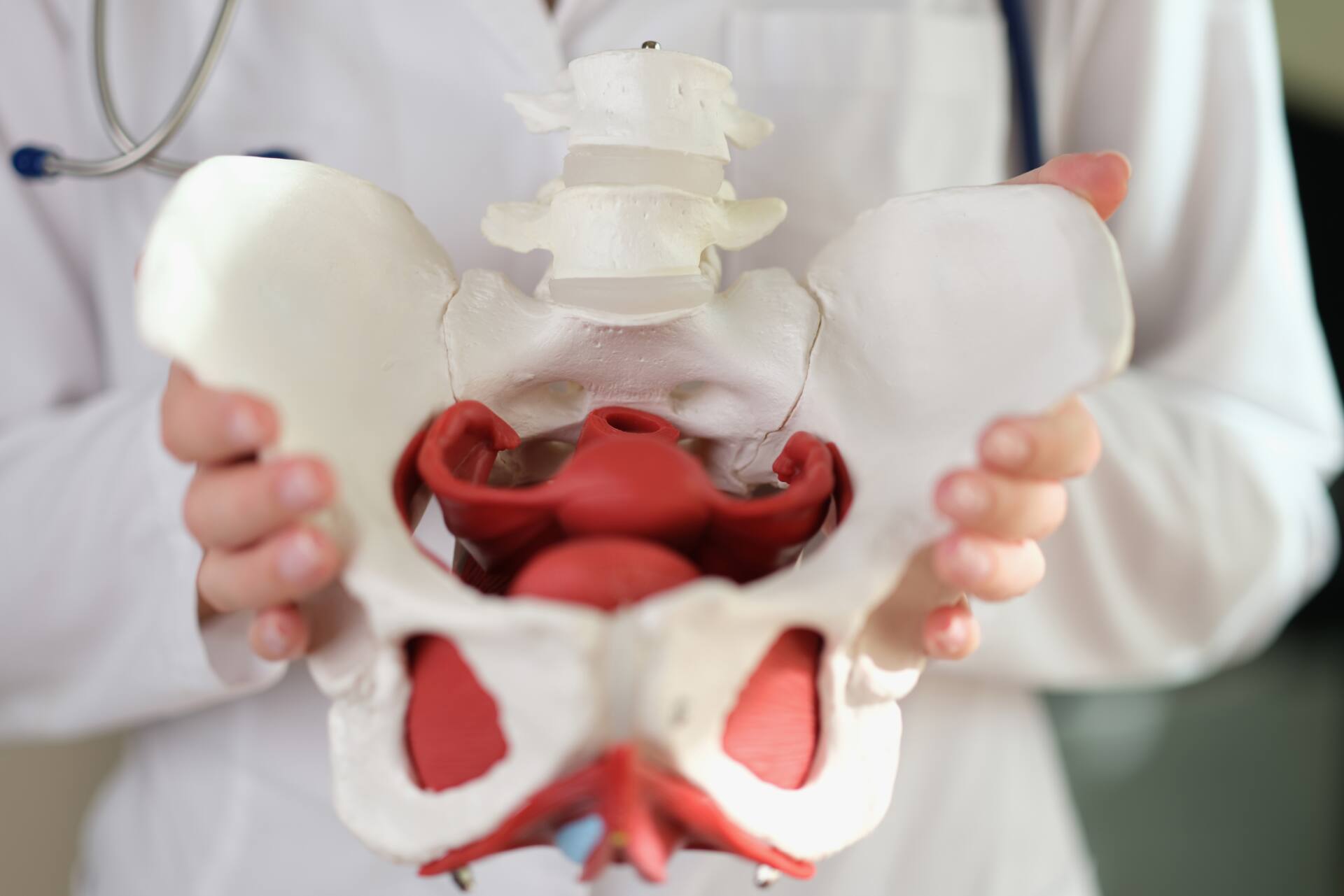 カイロプラクティック　症状　骨盤の歪み