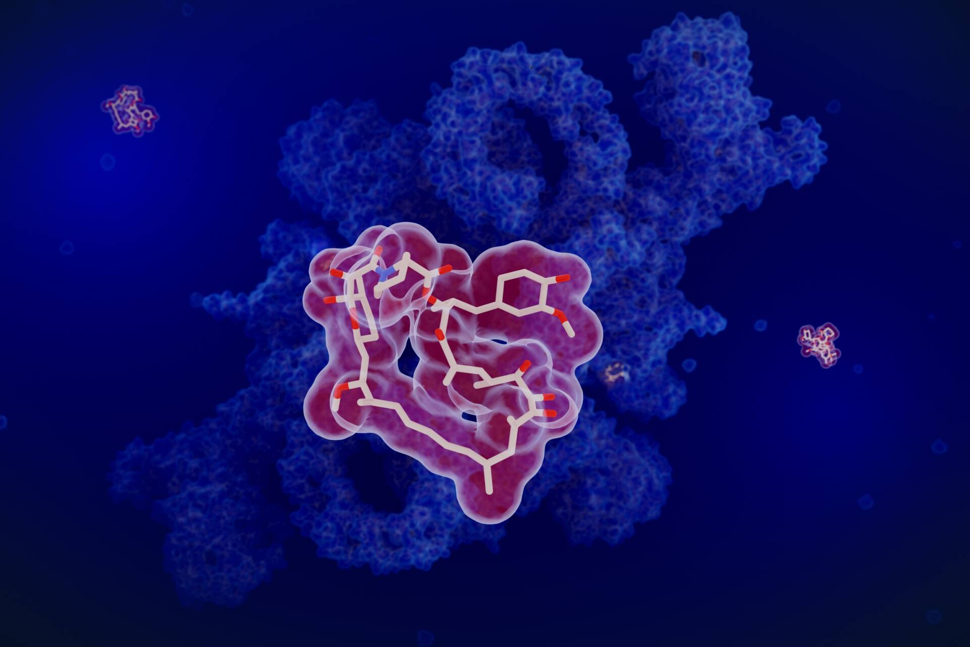 カイロプラクティック　症状　免疫低下