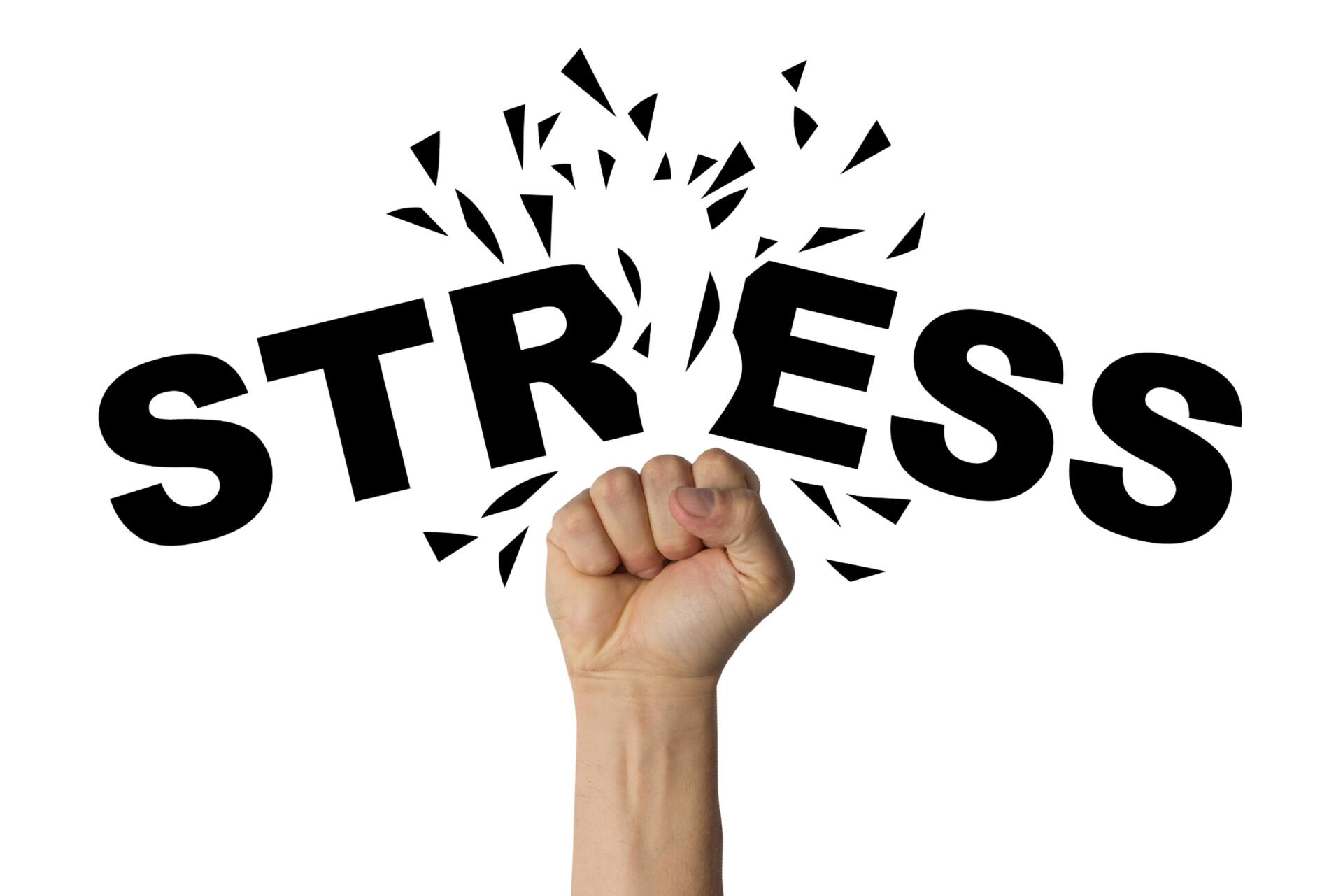 自律神経、カイロプラクティック