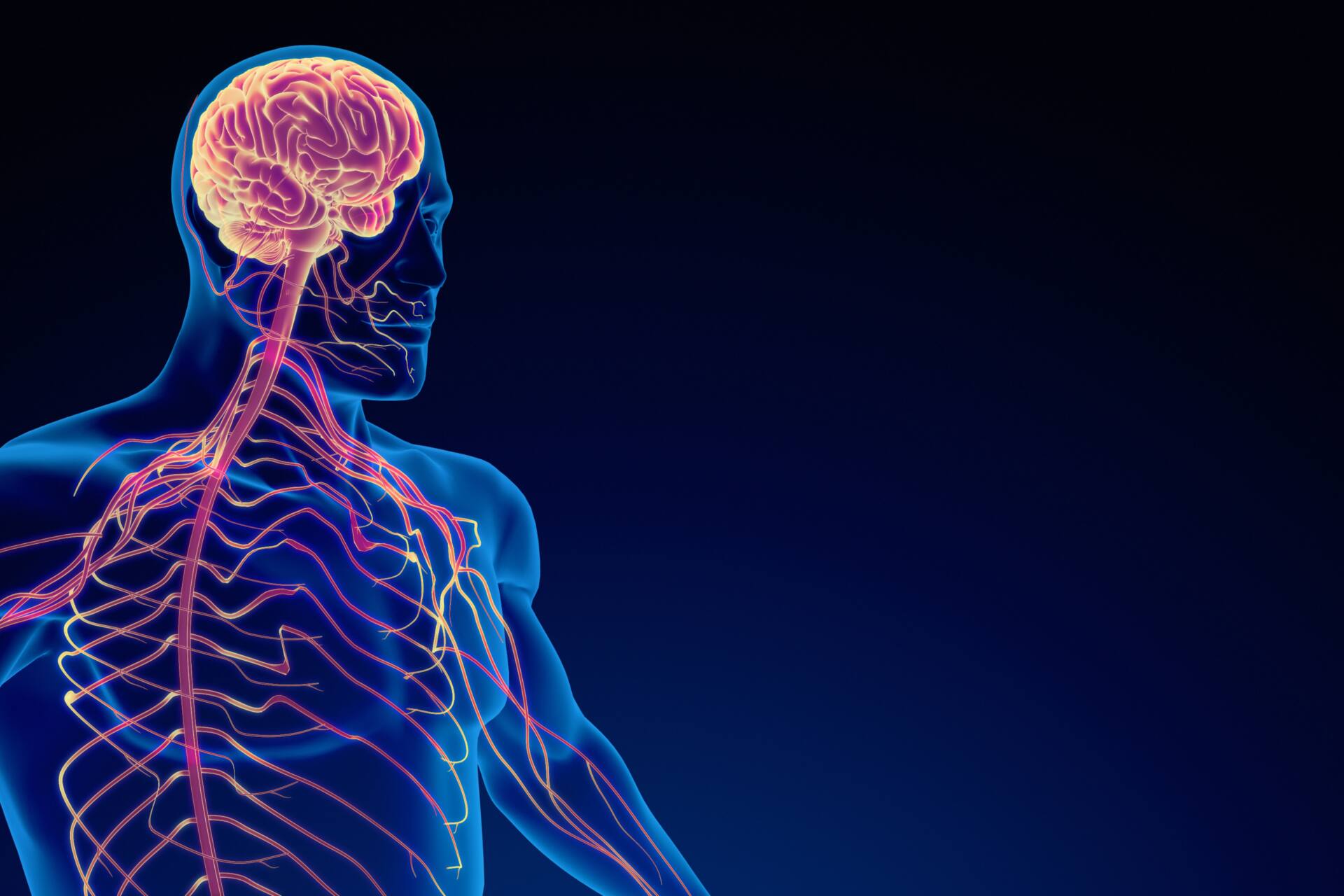 カイロプラクティック、呼吸