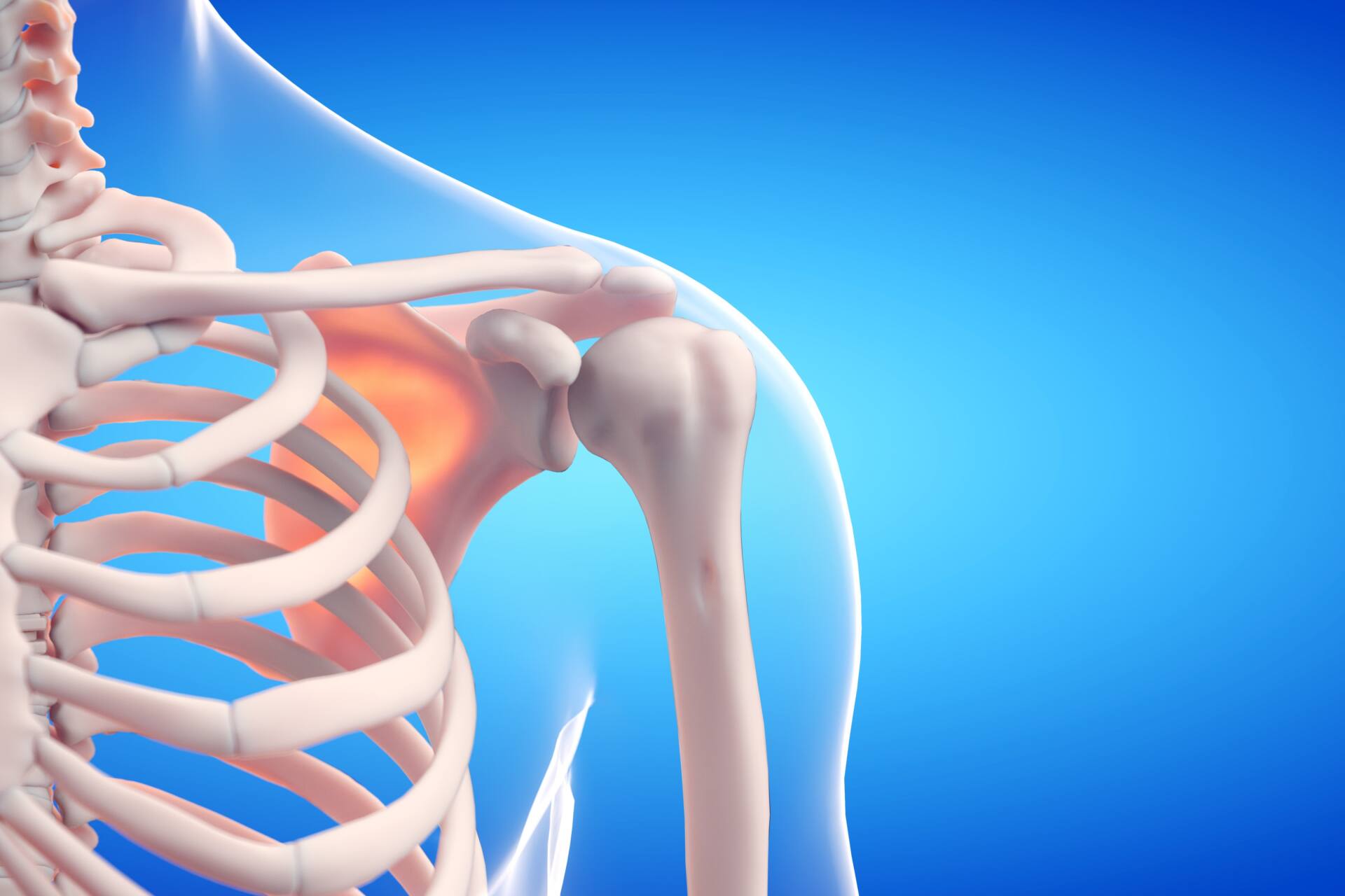 球速 を 上げる に は