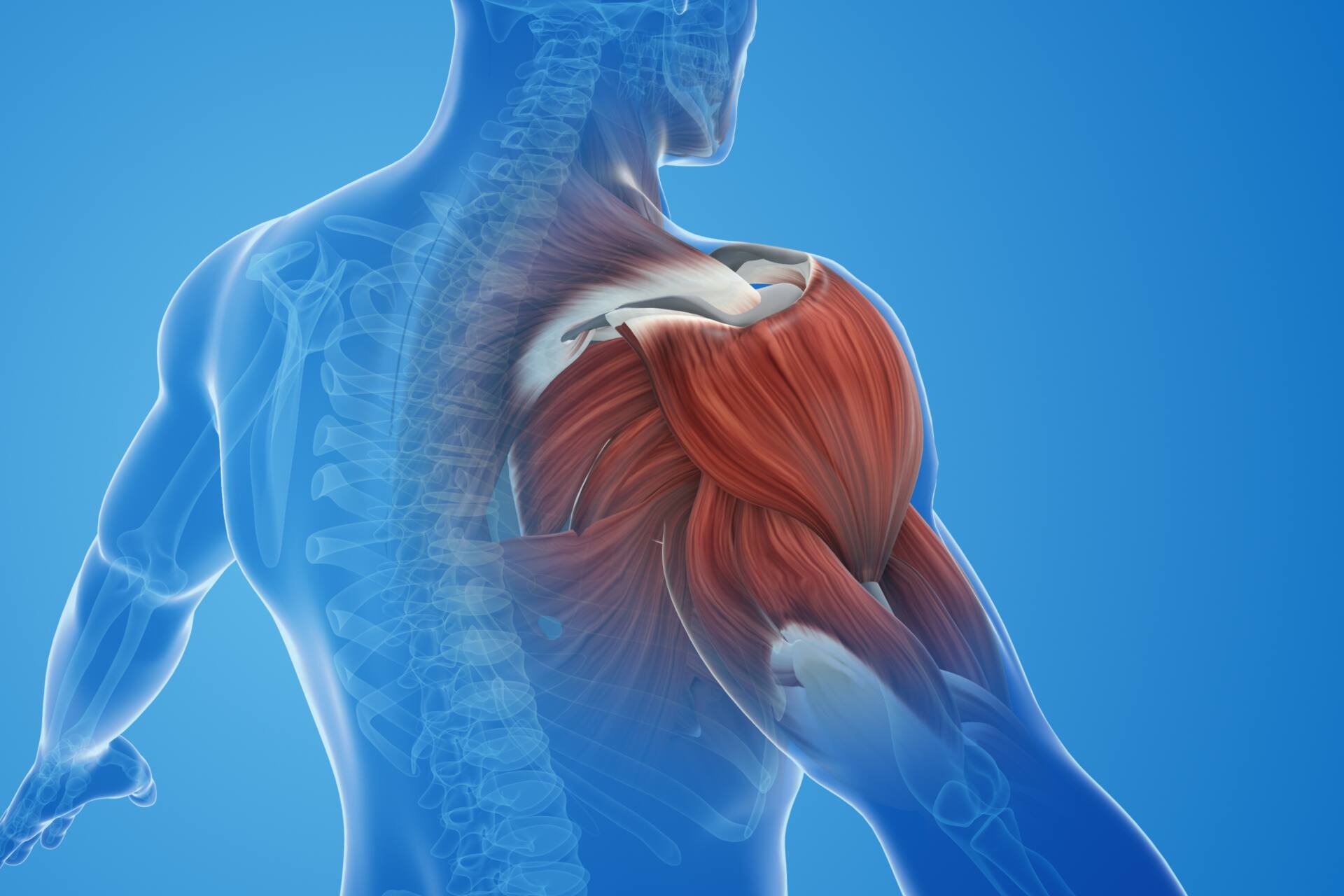 球速 を 上げる に は