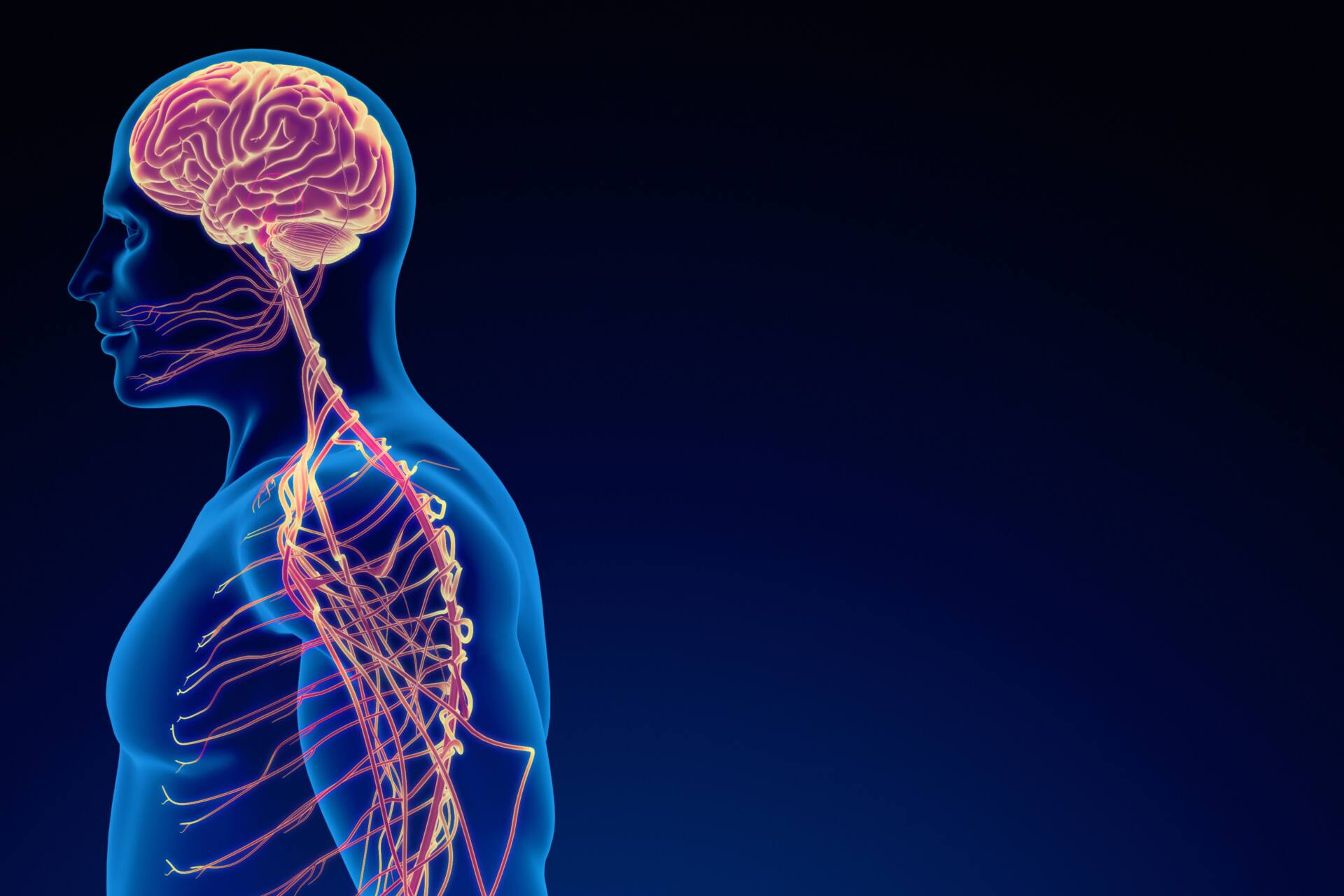 ９月のキャンペーンのお知らせ