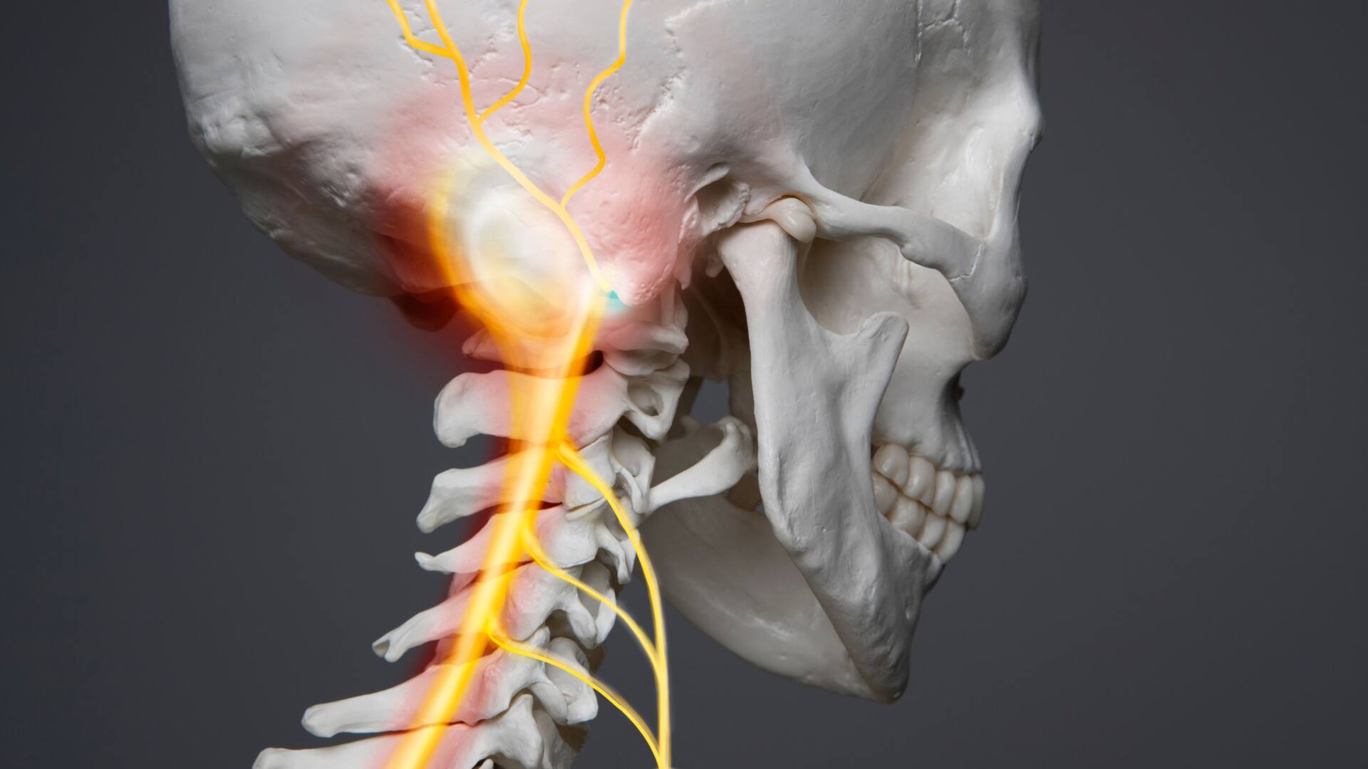 11月のご新規様ご体験のお知らせ
